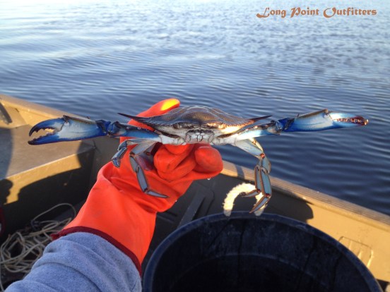 Only a Few, but Large!