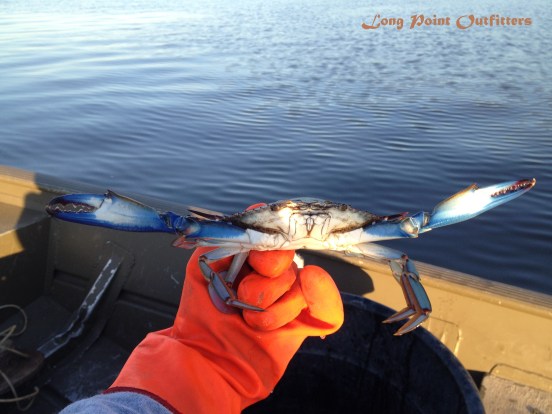 Another Large Keeper!