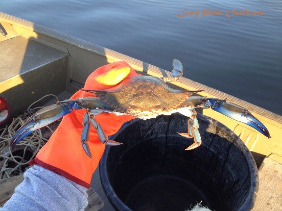 First Catch of the Day