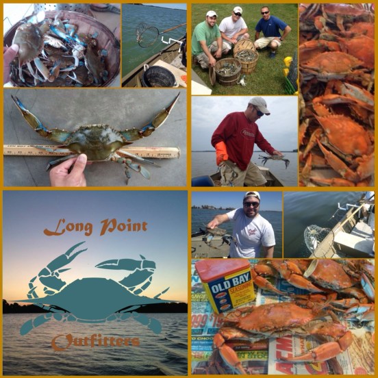 Crab Collage