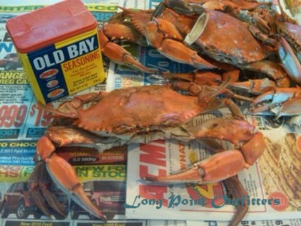 Steamed Maryland Blue Crabs with Old Bay Seasoning!